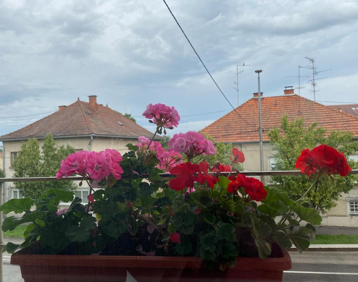 Cvjetnjak * Cakovec